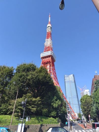 東京タワー全体.JPG